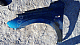   : 1575440575763_bulletin