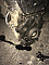  CDAB 06J100035H: IMG-20190314-WA0025